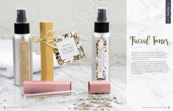 Stampington Willow and Sage Spring 2017 blad digital utgave