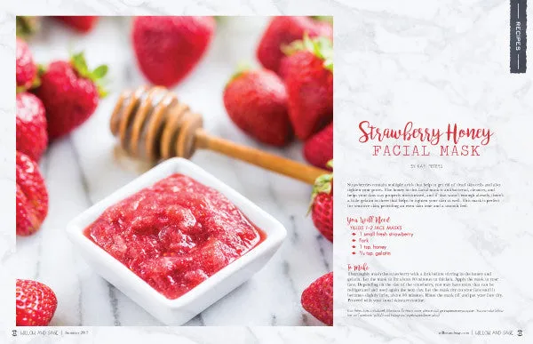 Stampington Willow and Sage Summer 2017 blad digital sommerpleie