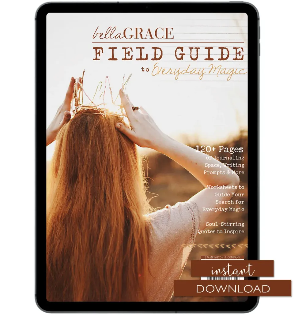 Field Guide Everyday Magic Issue 10 blad PDF journal
