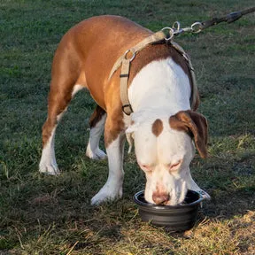 Thrasher Dog Bowl hundeskål svart – sammenleggbar