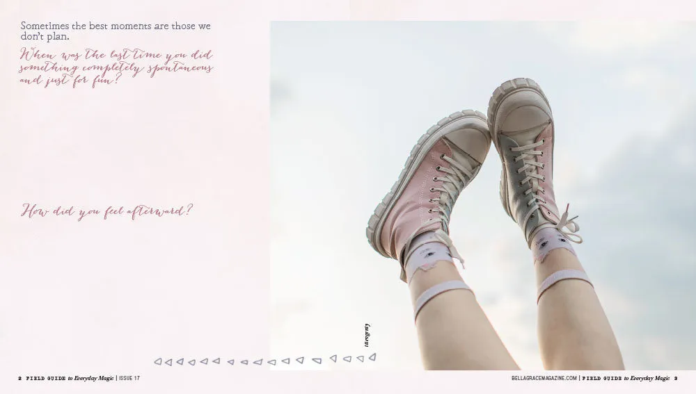 Field Guide to Everyday Magic Issue 17 arbeidsbok PDF