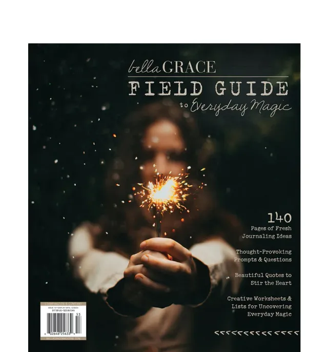 Stampington Field Guide Issue 16 arbeidsbok mindfulness