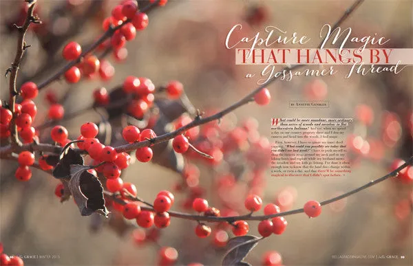 Stampington Bella Grace Issue 2 blad PDF-nedlasting foto