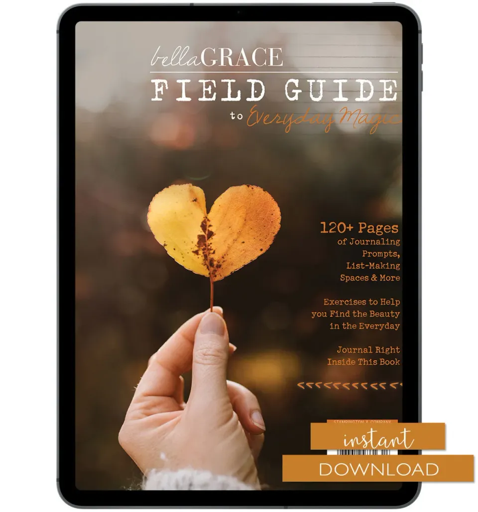 Stampington Field Guide Everyday Magic 8 blad nedlasting
