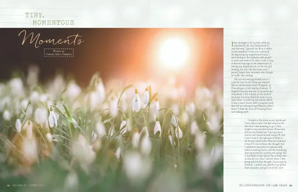 Stampington Bella Grace 16 blad PDF-nedlasting