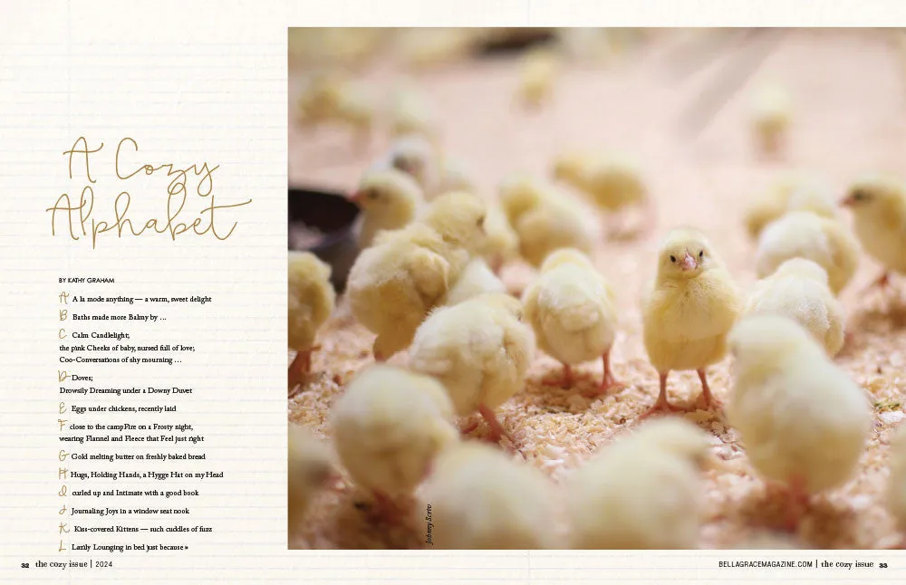 Stampington The Cozy Issue 7 PDF-nedlasting kos