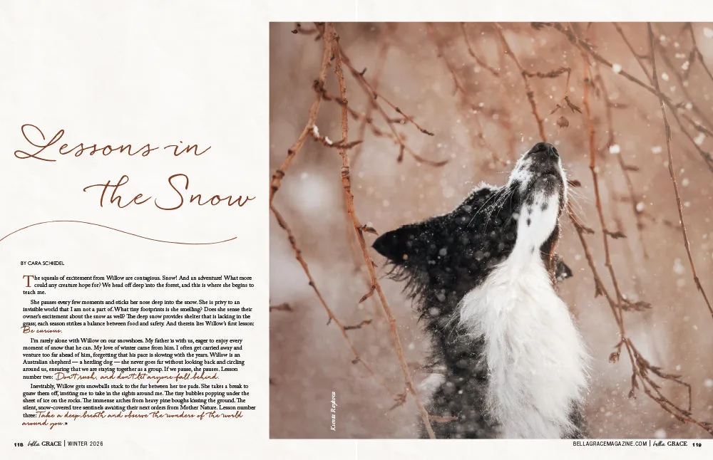 Stampington Bella Grace 46 blad magi i hverdagen