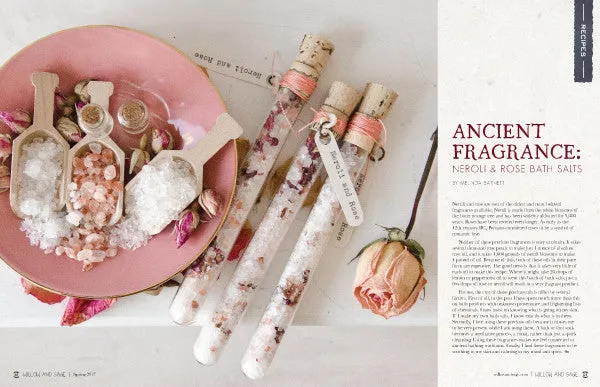 Stampington Willow and Sage Spring 2017 blad PDF 144 sider egenpleie