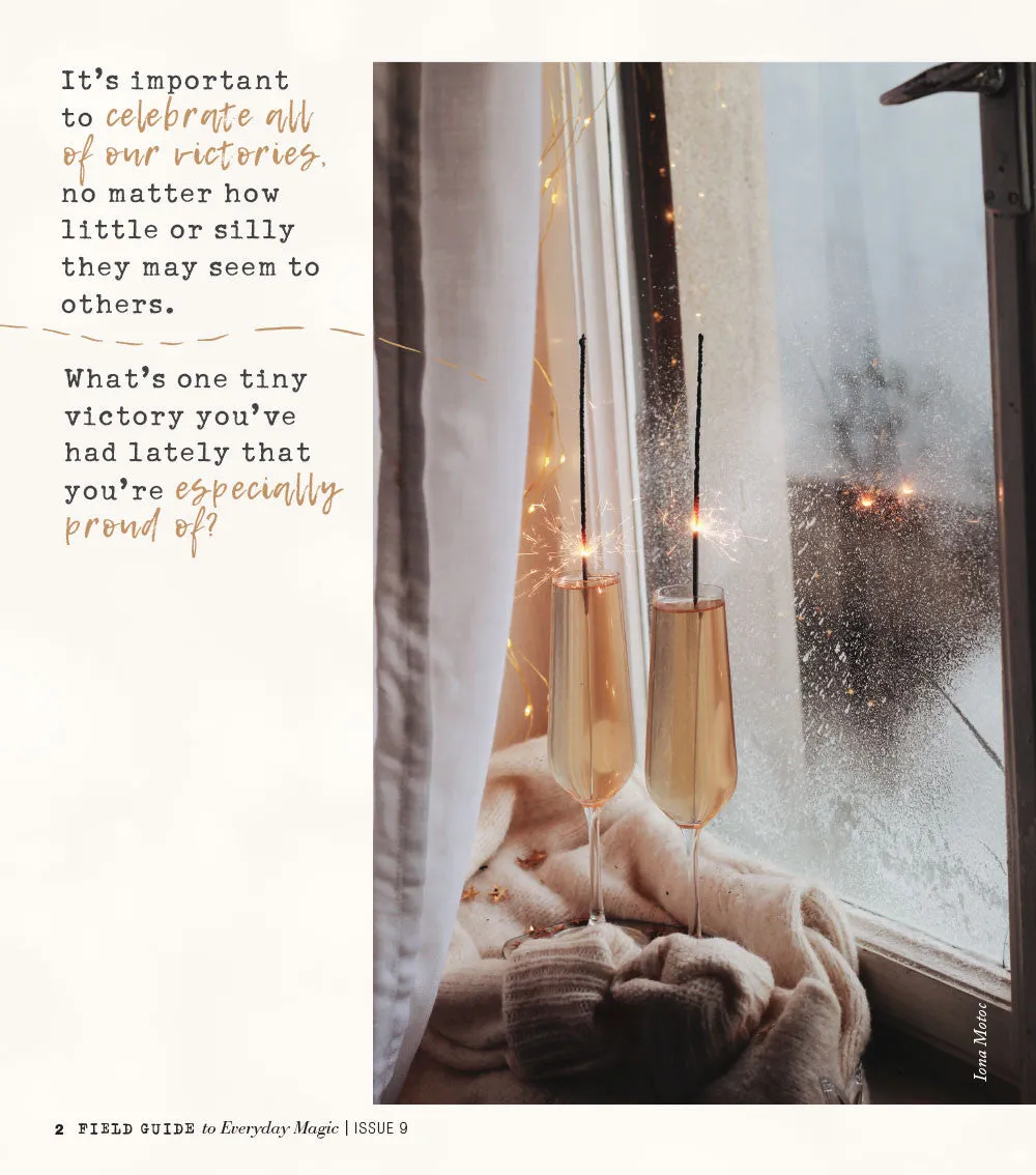 Stampington Field Guide Everyday Magic Issue 9 blad digital