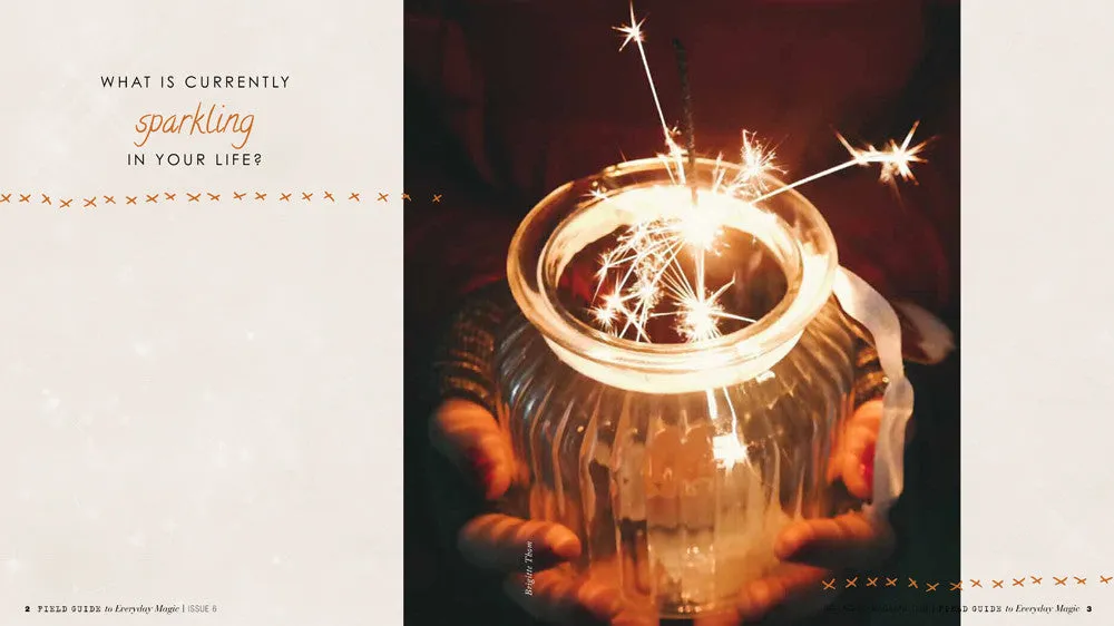 Stampington Field Guide to Everyday Magic 6 e-blad PDF