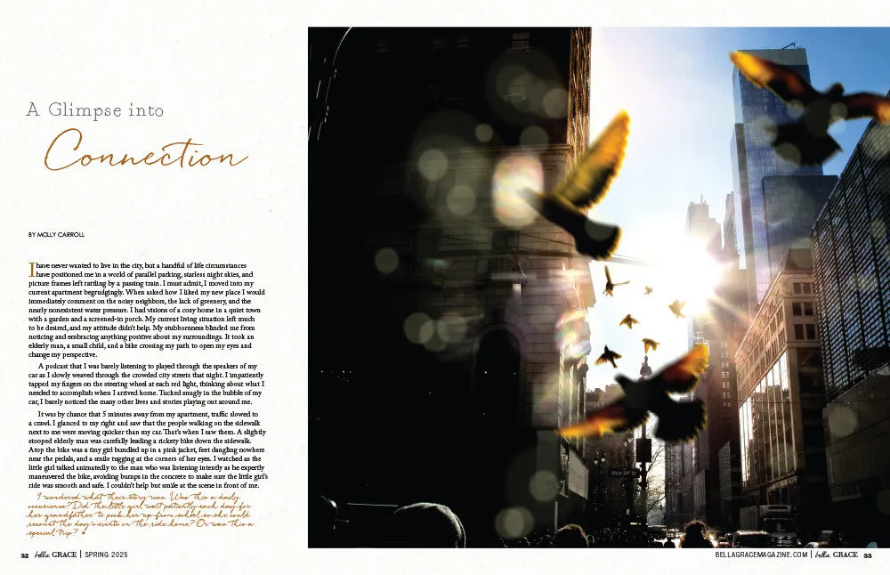 Stampington Bella Grace Issue 43 blad 160 sider hverdagsmagi