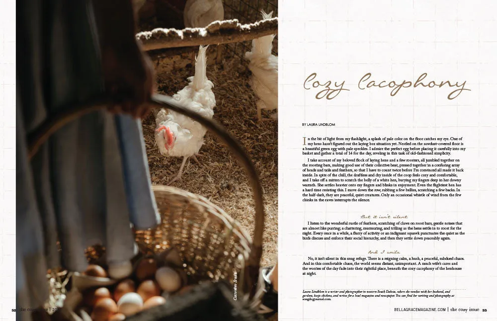 Stampington The Cozy Issue Volume 6 blad nedlasting kos