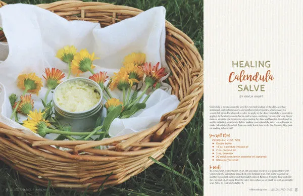 Stampington Willow and Sage Spring 2020 blad pdf