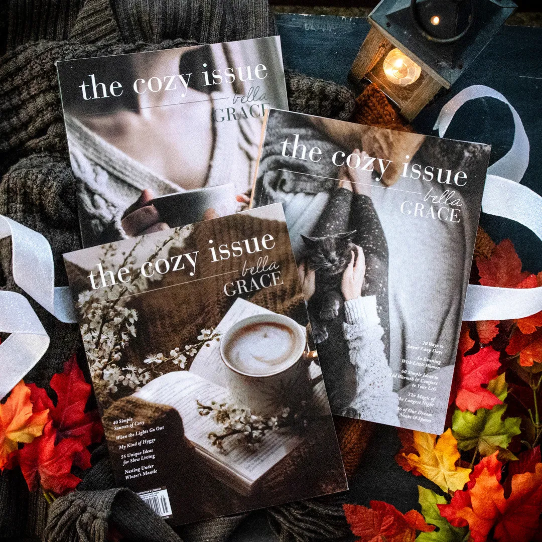 The Cozy Issue Volume 4-6 bladpakke 3 nummer kos