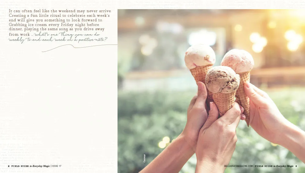 Field Guide to Everyday Magic Issue 17 arbeidsbok PDF