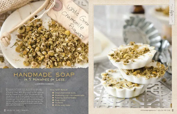 Stampington Willow and Sage Winter 2016 blad digitalutgave hudpleie