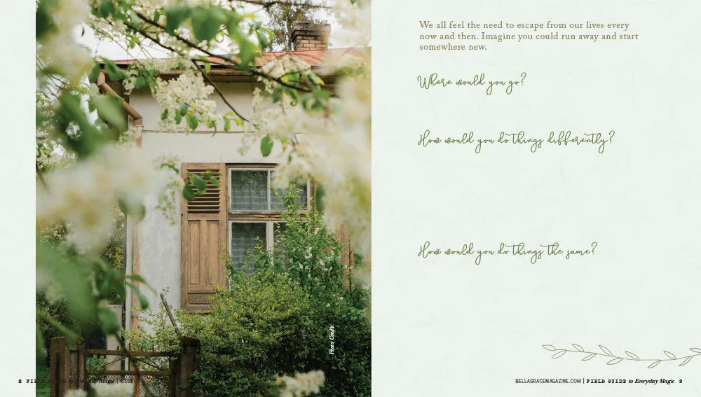 Field Guide to Everyday Magic Issue 17 arbeidsbok PDF