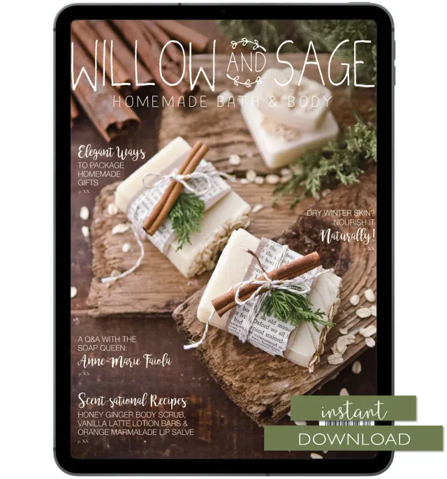 Stampington Willow and Sage Winter 2018 blad PDF vinter