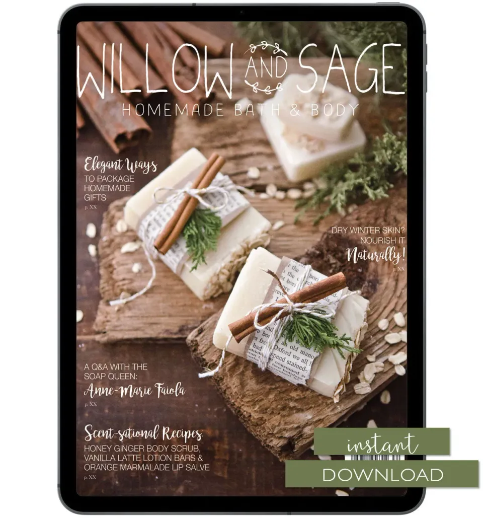 Stampington Willow and Sage Winter 2018 blad PDF vinter