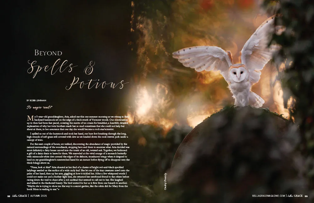 Stampington Bella Grace Issue 45 blad PDF 160 sider