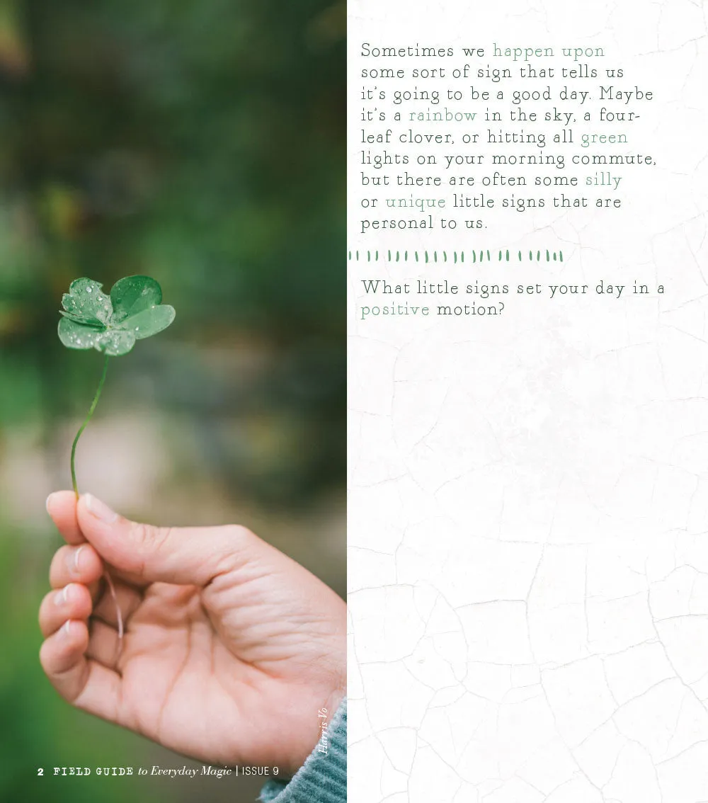 Stampington Field Guide Everyday Magic Issue 9 blad digital