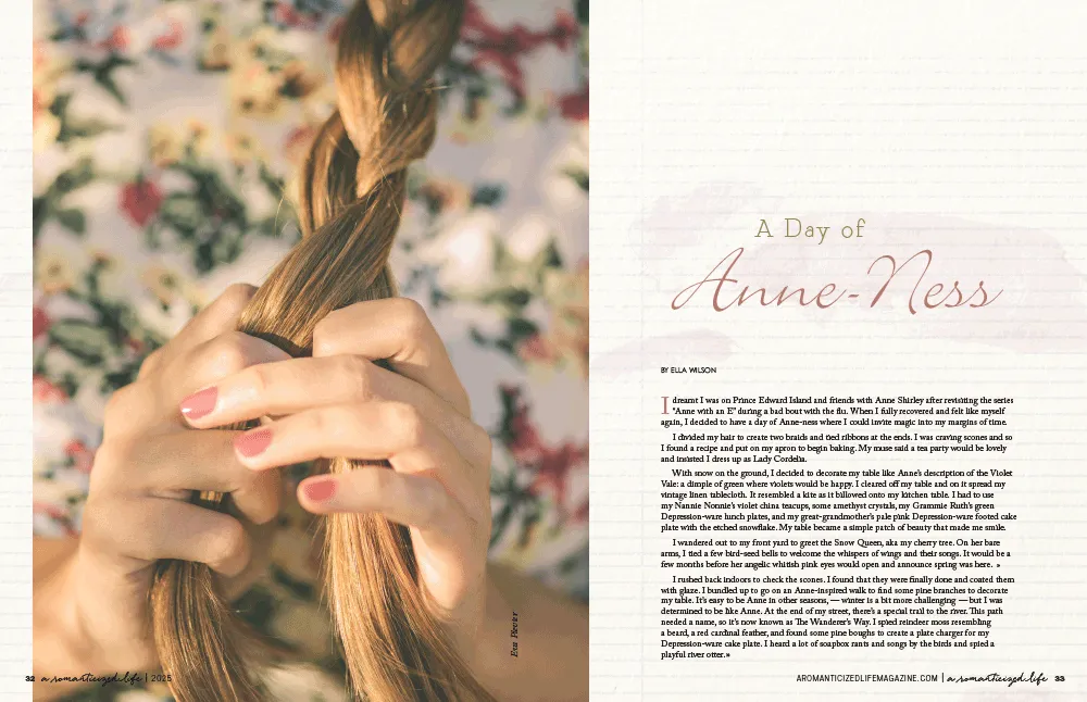 A Romanticized Life Issue 1 blad PDF-nedlasting