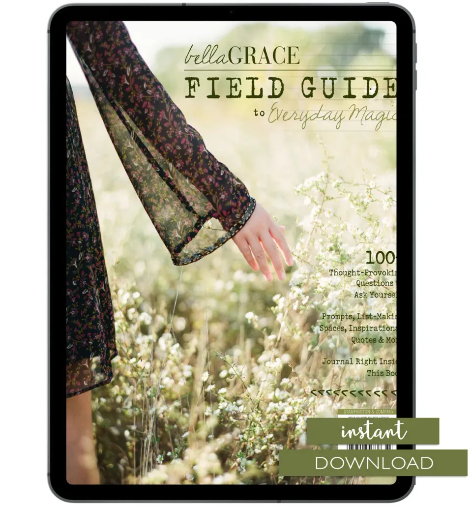 Field Guide to Everyday Magic Issue 12 hefte PDF – skriving