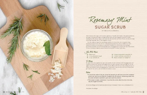 Willow and Sage Summer 2019 blad PDF-nedlasting