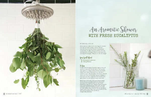 Stampington Natural Home Issue 1 blad digital rengjøring