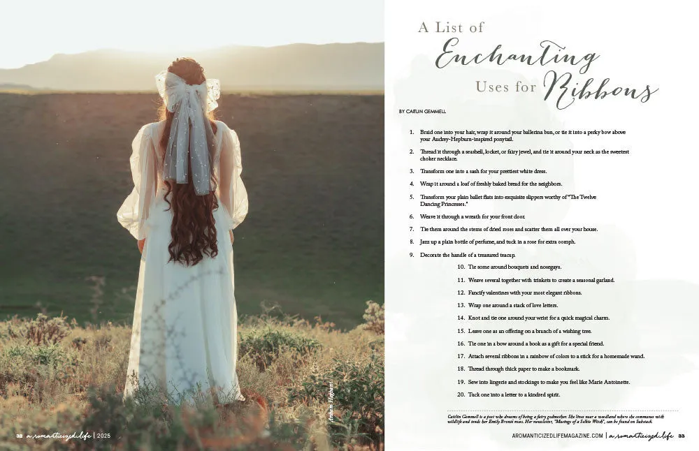 A Romanticized Life Issue 1 blad PDF-nedlasting