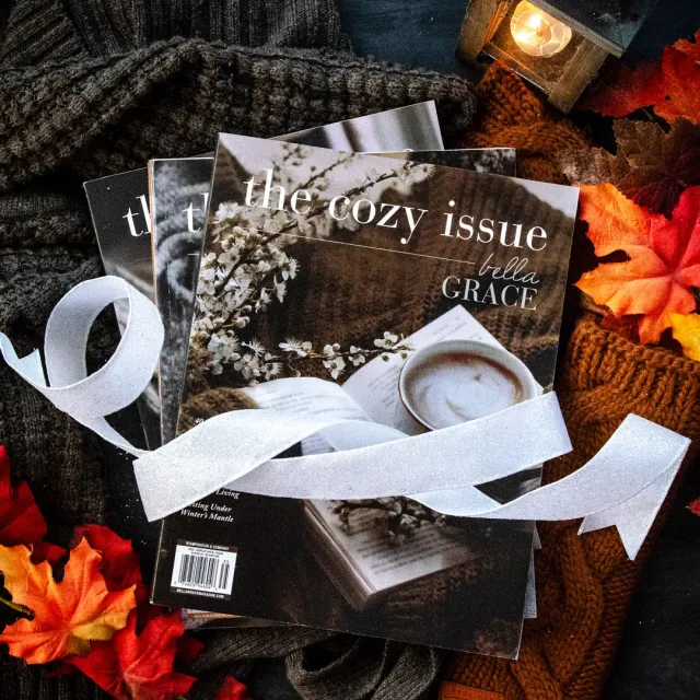 The Cozy Issue Volume 4-6 bladpakke 3 nummer kos