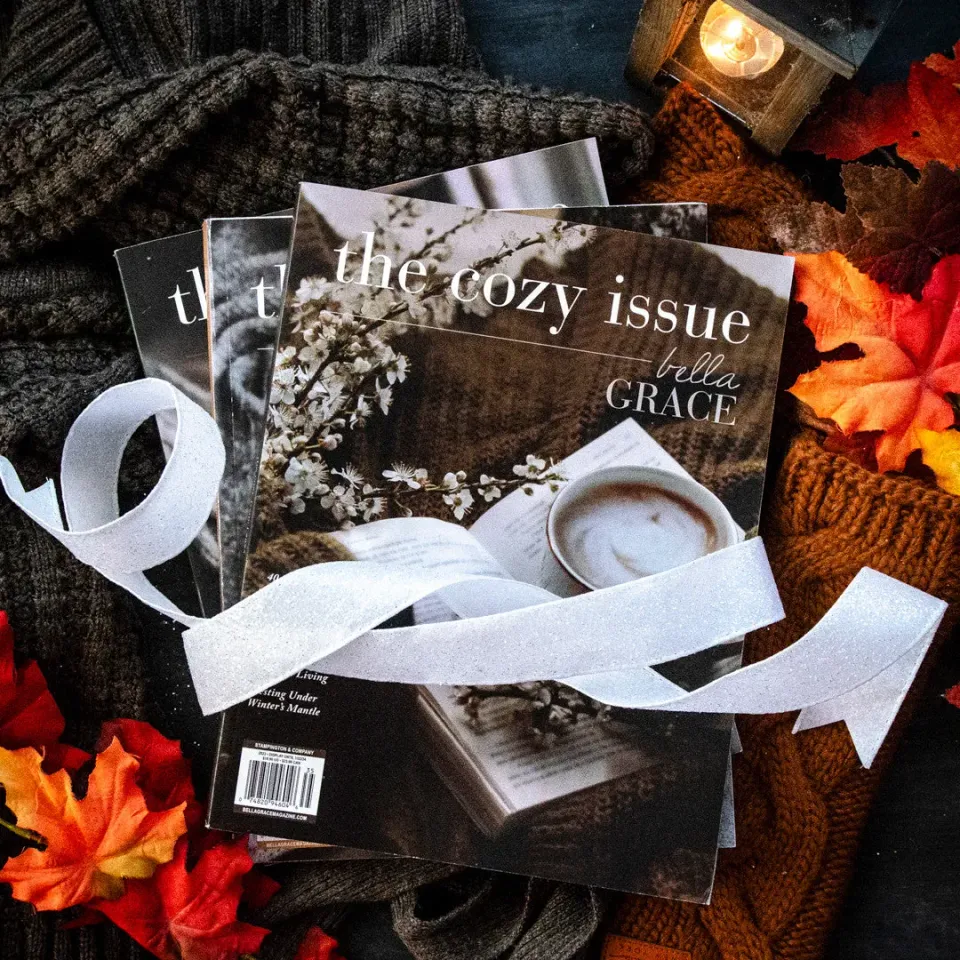 The Cozy Issue Volume 4-6 bladpakke 3 nummer kos