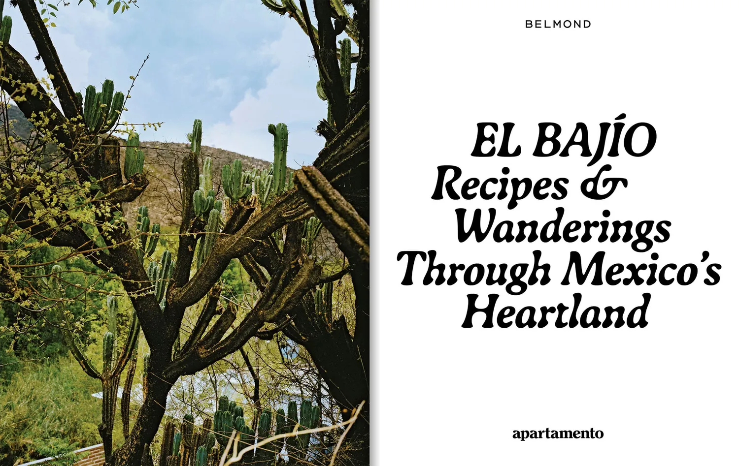 Apartamento El Bajío Recipes blad meksikansk Wanderings