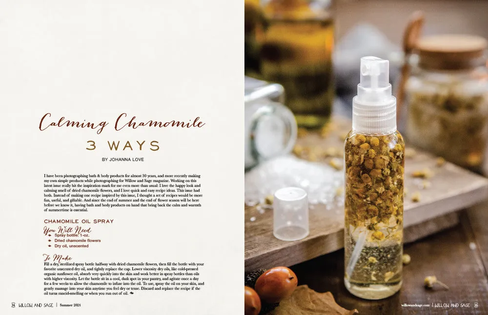 Stampington Willow and Sage Summer 2024 blad PDF-nedlasting