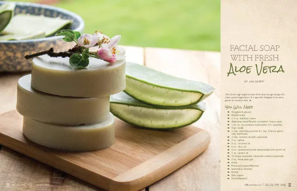 Stampington Willow and Sage Summer 2019 blad digital