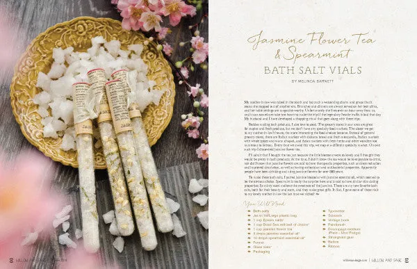 Stampington Willow and Sage Winter 2018 blad PDF vinter