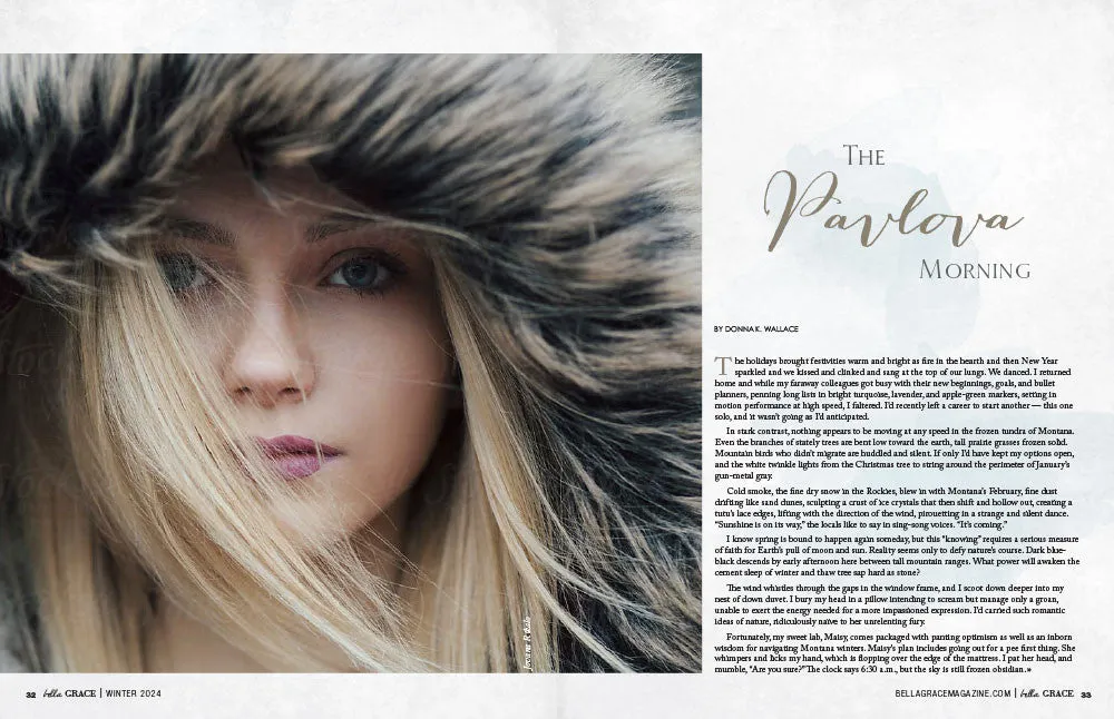 Bella Grace Issue 38 blad PDF-nedlasting vinter