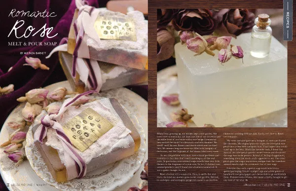 Stampington Willow and Sage Spring 2017 blad PDF 144 sider egenpleie