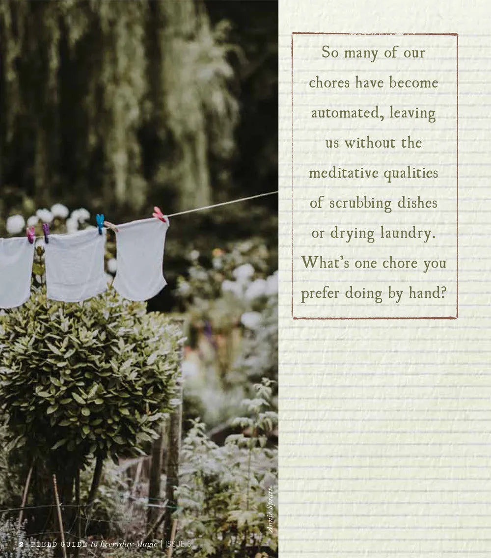 Stampington Field Guide Everyday Magic Issue 6 blad PDF