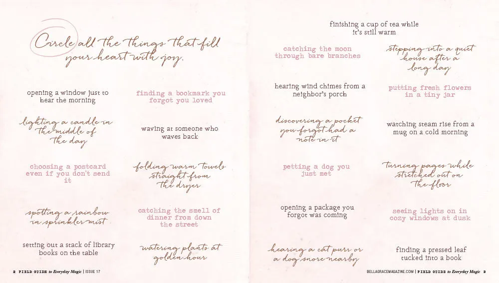 Field Guide to Everyday Magic Issue 17 arbeidsbok PDF