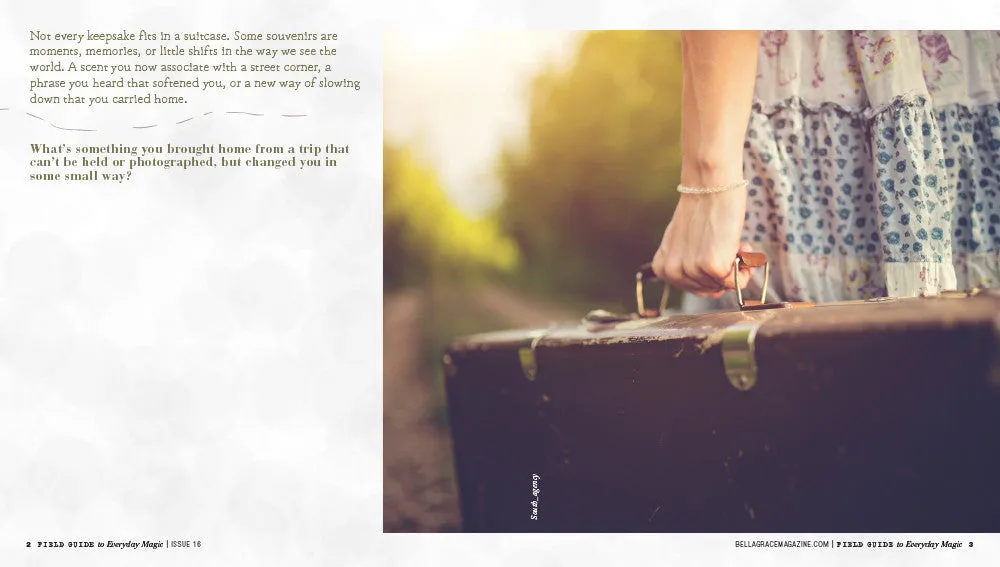 Stampington Field Guide Issue 16 arbeidsbok mindfulness