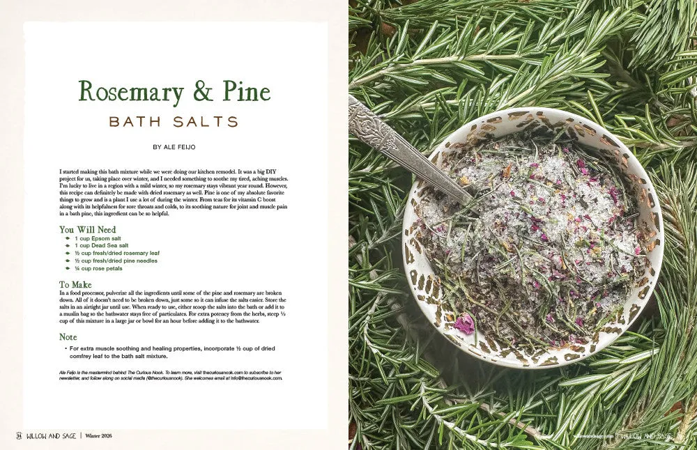 Stampington Willow and Sage Winter 2026 blad PDF egenpleie