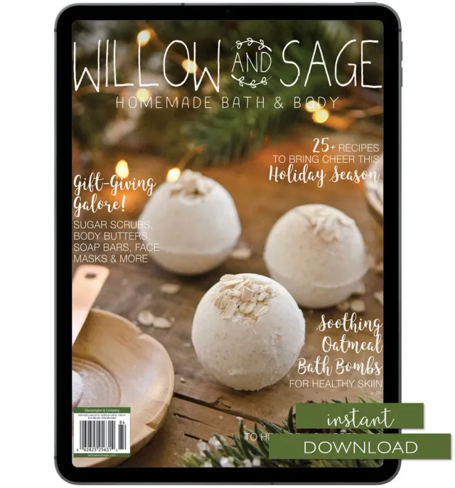 Stampington Willow and Sage Winter 2019 nedlasting hudpleie
