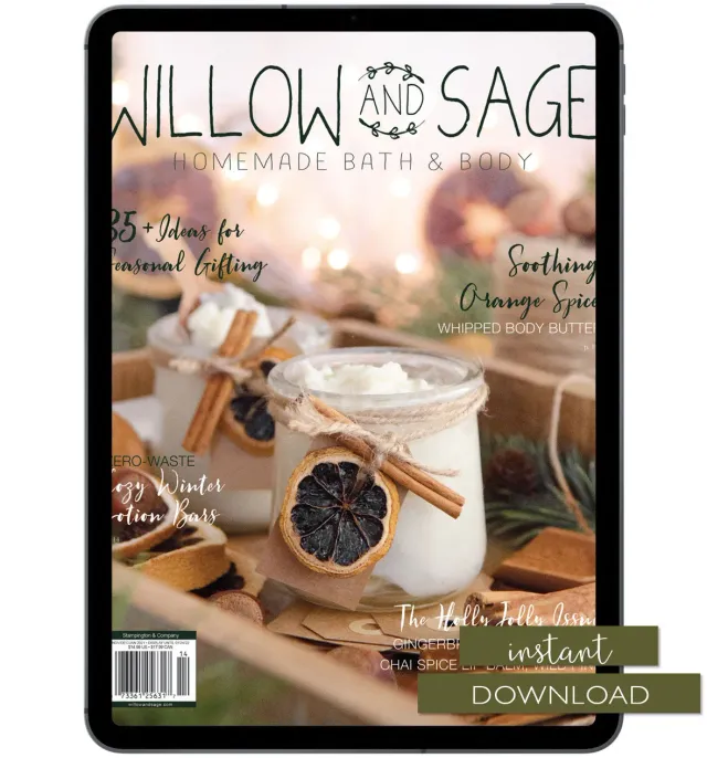 Stampington Willow and Sage Winter 2022 nedlasting egenpleie