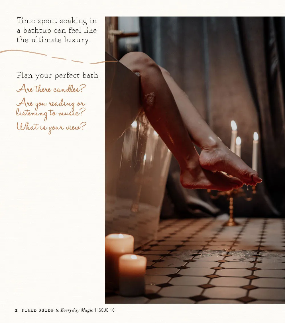 Field Guide Everyday Magic Issue 10 blad PDF journal