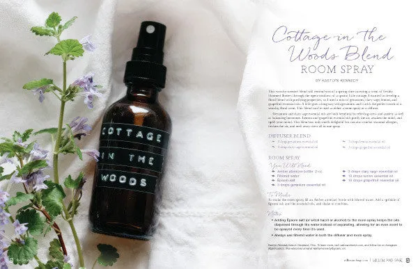 Stampington Willow and Sage Premium abonnement 6 nummer egenpleie