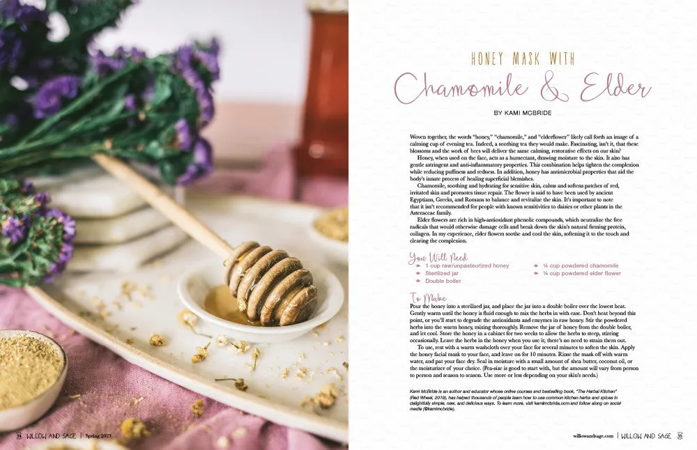 Stampington Willow and Sage Spring 2023 PDF-nedlasting pleie