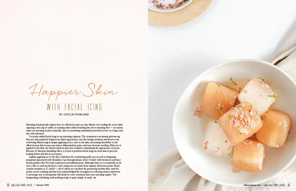 Stampington Willow and Sage Summer 2022 blad PDF hudpleie