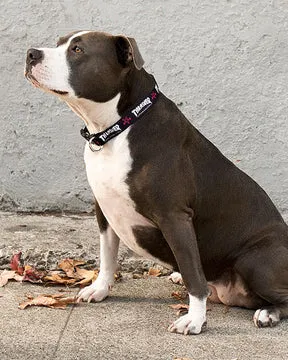 Thrasher Dog Collar hundehalsbånd svart