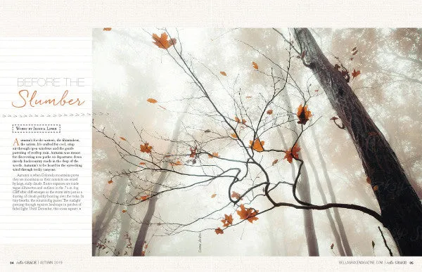 Stampington Bella Grace Issue 21 blad digital 160 sider